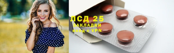 гашик Заволжье