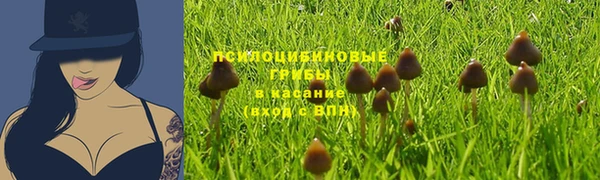 скорость Заволжск