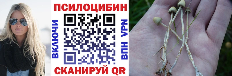 Галлюциногенные грибы Magic Shrooms  Мосальск 